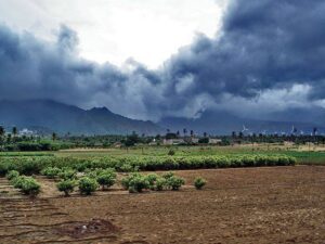 Monsoon Trough