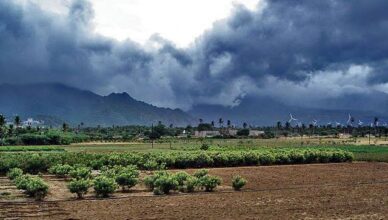 Monsoon Trough